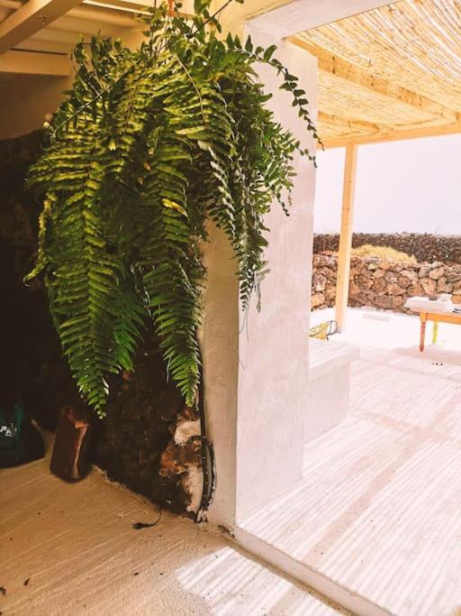 Estudio Con Bano Privado Appartement *
